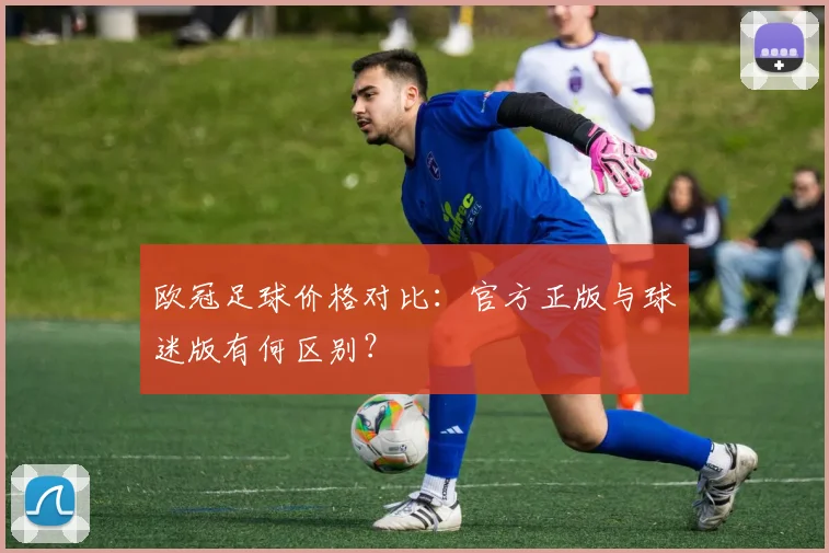 欧冠足球价格对比：官方正版与球迷版有何区别？