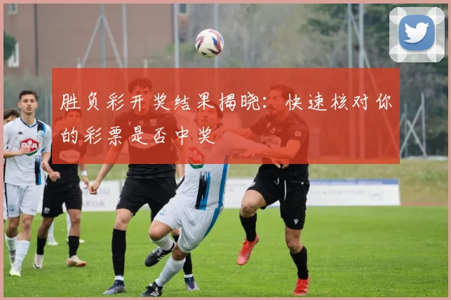 胜负彩开奖结果揭晓：快速核对你的彩票是否中奖