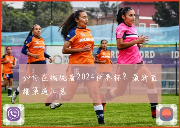 如何在线观看2024世界杯？最新直播渠道汇总