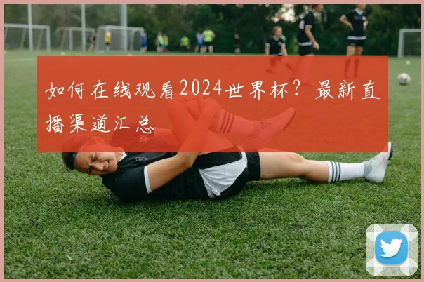 如何在线观看2024世界杯？最新直播渠道汇总