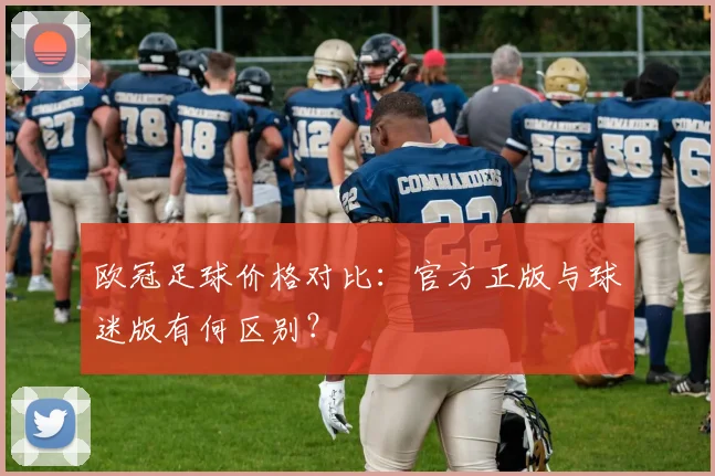 欧冠足球价格对比：官方正版与球迷版有何区别？