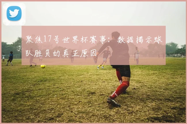 聚焦17号世界杯赛事：数据揭示球队胜负的真正原因