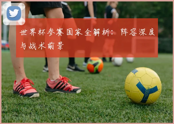 世界杯参赛国家全解析：阵容深度与战术前景