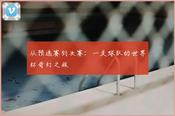 从预选赛到决赛：一支球队的世界杯奇幻之旅