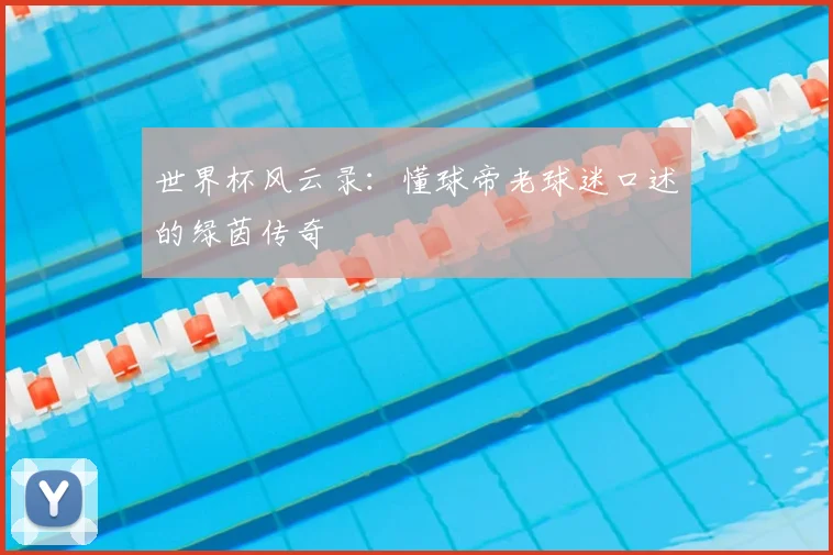 世界杯风云录:懂球帝老球迷口述的绿茵传奇