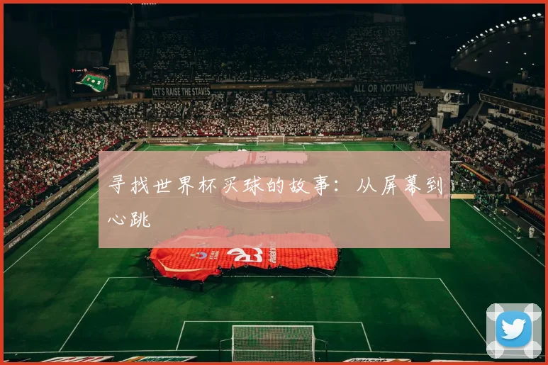 寻找世界杯买球的故事：从屏幕到心跳