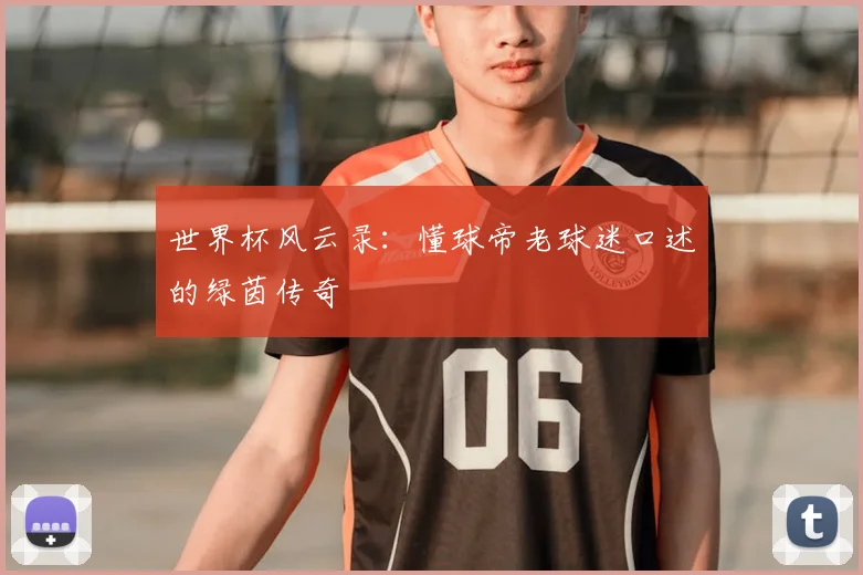 世界杯风云录:懂球帝老球迷口述的绿茵传奇