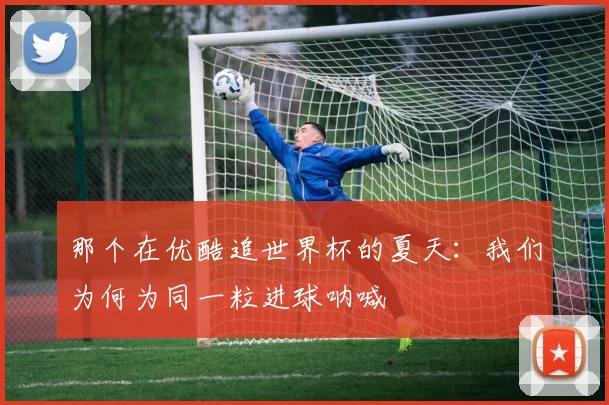 那个在优酷追世界杯的夏天：我们为何为同一粒进球呐喊