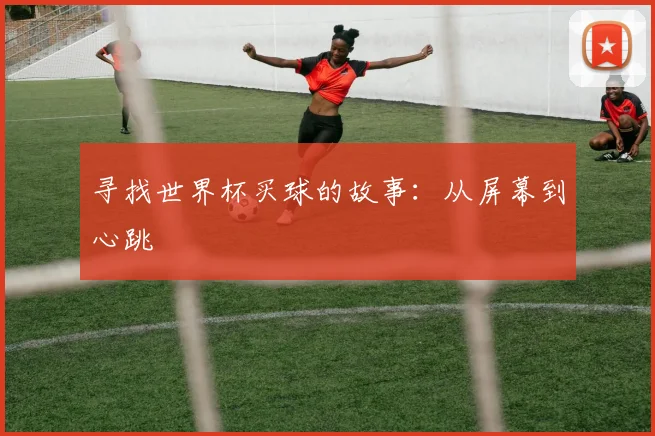 寻找世界杯买球的故事：从屏幕到心跳