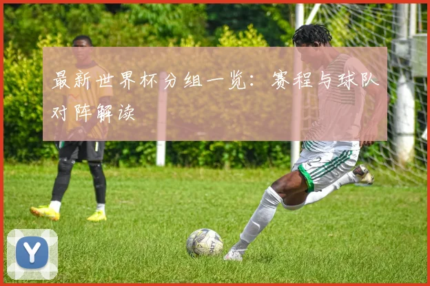 最新世界杯分组一览：赛程与球队对阵解读
