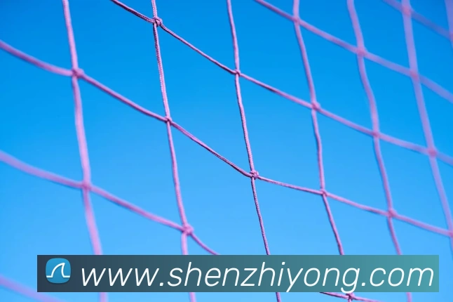 华体在线登录官网APP 高清赛事图